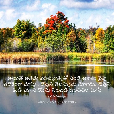 Picture 03 - అపొస్తలుల కార్యములు 7:55 TELIRV - అయితే అతడు - Bible Verse Picture