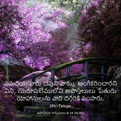 Picture 03 - అపొస్తలుల కార్యములు 8:14 TELIRV - సమరయ వారు దేవుని - Bible Verse Picture