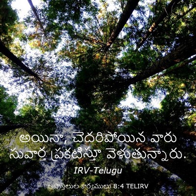 Picture 03 - అపొస్తలుల కార్యములు 8:4 TELIRV - అయినా, చెదరిపోయిన - Bible Verse Picture