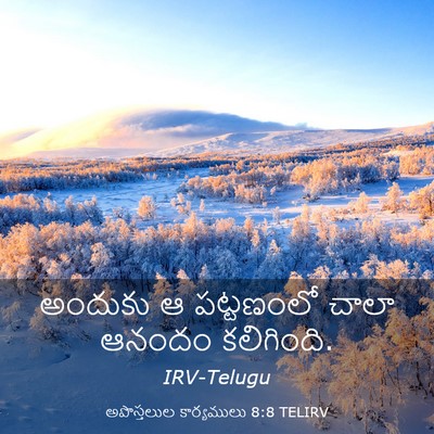 Picture 03 - అపొస్తలుల కార్యములు 8:8 TELIRV - అందుకు ఆ పట్టణంలో - Bible Verse Picture