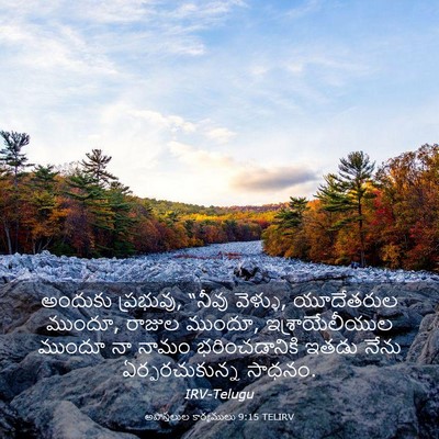 Picture 03 - అపొస్తలుల కార్యములు 9:15 TELIRV - అందుకు ప్రభువు, - Bible Verse Picture