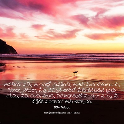 Picture 03 - అపొస్తలుల కార్యములు 9:17 TELIRV - అననీయ వెళ్ళి ఆ - Bible Verse Picture