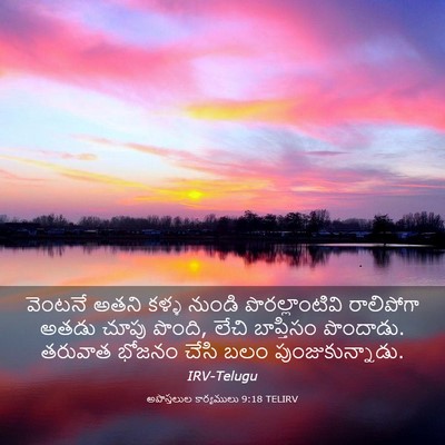 Picture 03 - అపొస్తలుల కార్యములు 9:18 TELIRV - వెంటనే అతని కళ్ళ - Bible Verse Picture