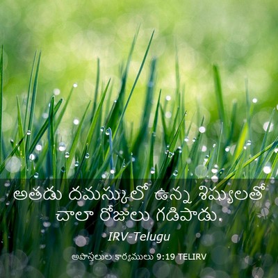 Picture 03 - అపొస్తలుల కార్యములు 9:19 TELIRV - అతడు దమస్కులో - Bible Verse Picture