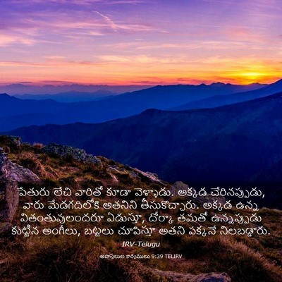 Picture 03 - అపొస్తలుల కార్యములు 9:39 TELIRV - పేతురు లేచి - Bible Verse Picture