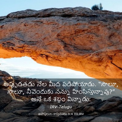Picture 03 - అపొస్తలుల కార్యములు 9:4 TELIRV - అప్పుడతడు నేల మీద - Bible Verse Picture