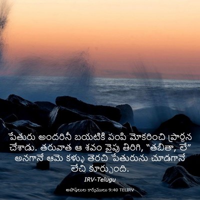 Picture 03 - అపొస్తలుల కార్యములు 9:40 TELIRV - పేతురు అందరినీ - Bible Verse Picture