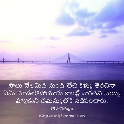 Picture 03 - అపొస్తలుల కార్యములు 9:8 TELIRV - సౌలు నేలమీద నుండి - Bible Verse Picture