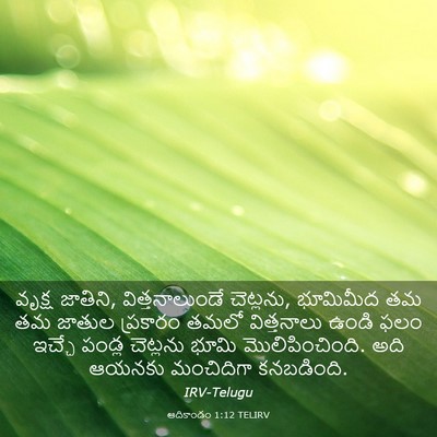 Picture 03 - ఆదికాండం 1:12 TELIRV - వృక్ష జాతిని, - Bible Verse Picture