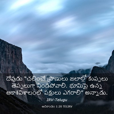 Picture 03 - ఆదికాండం 1:20 TELIRV - దేవుడు “చలించే - Bible Verse Picture