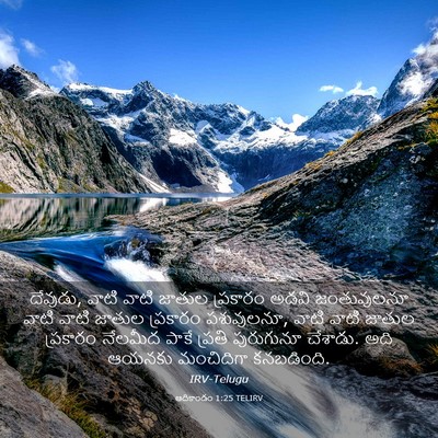 Picture 03 - ఆదికాండం 1:25 TELIRV - దేవుడు, వాటి వాటి - Bible Verse Picture