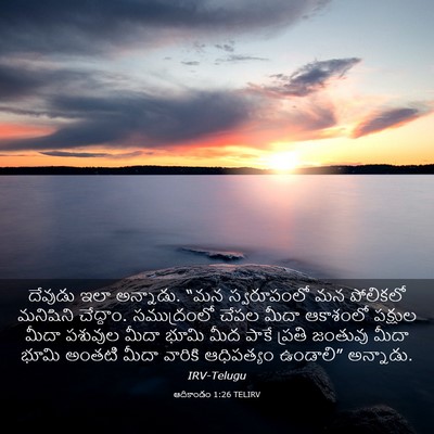 Picture 03 - ఆదికాండం 1:26 TELIRV - దేవుడు ఇలా - Bible Verse Picture