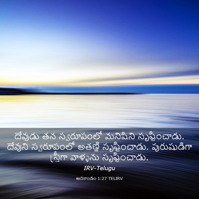 Picture 03 - ఆదికాండం 1:27 TELIRV - దేవుడు తన - Bible Verse Picture