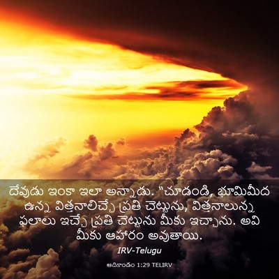 Picture 03 - ఆదికాండం 1:29 TELIRV - దేవుడు ఇంకా ఇలా - Bible Verse Picture