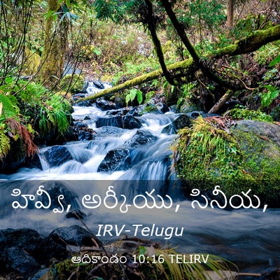 Picture 03 - ఆదికాండం 10:16 TELIRV - హివ్వీ, అర్కీయు, - Bible Verse Picture