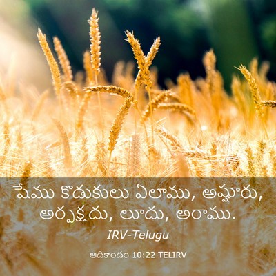 Picture 03 - ఆదికాండం 10:22 TELIRV - షేము కొడుకులు - Bible Verse Picture
