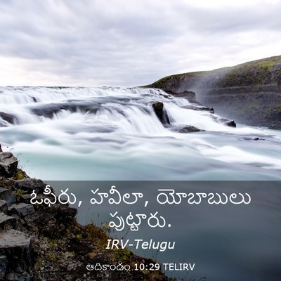 Picture 03 - ఆదికాండం 10:29 TELIRV - ఓఫీరు, హవీలా, - Bible Verse Picture