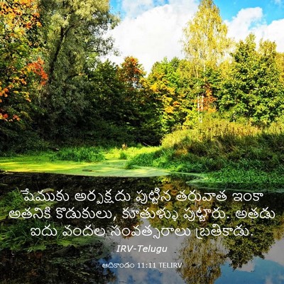 Picture 03 - ఆదికాండం 11:11 TELIRV - షేముకు అర్పక్షదు - Bible Verse Picture