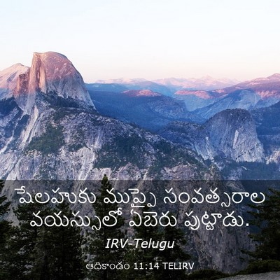 Picture 03 - ఆదికాండం 11:14 TELIRV - షేలహుకు ముప్ఫై - Bible Verse Picture