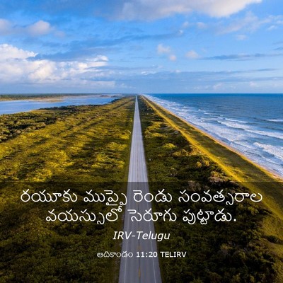 Picture 03 - ఆదికాండం 11:20 TELIRV - రయూకు ముప్ఫై - Bible Verse Picture