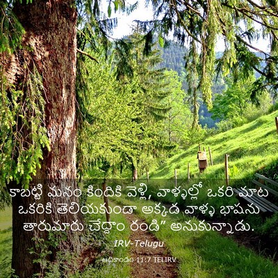 Picture 03 - ఆదికాండం 11:7 TELIRV - కాబట్టి మనం - Bible Verse Picture