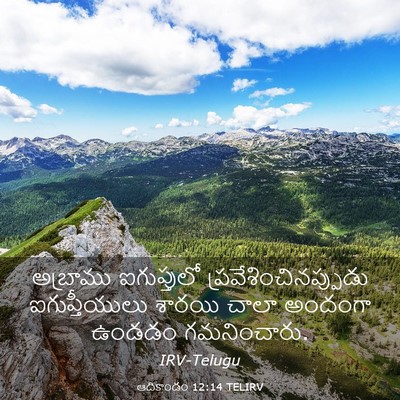 Picture 03 - ఆదికాండం 12:14 TELIRV - అబ్రాము ఐగుప్తులో - Bible Verse Picture