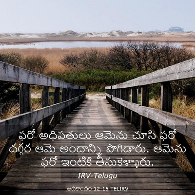 Picture 03 - ఆదికాండం 12:15 TELIRV - ఫరో అధిపతులు - Bible Verse Picture