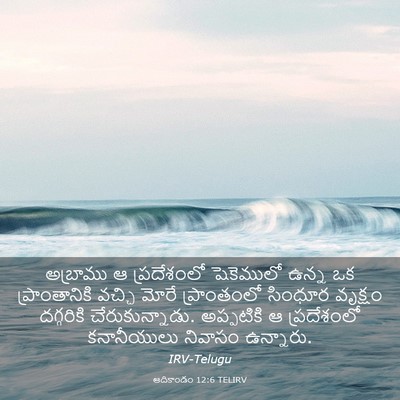 Picture 03 - ఆదికాండం 12:6 TELIRV - అబ్రాము ఆ - Bible Verse Picture