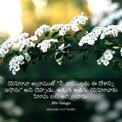 Picture 03 - ఆదికాండం 12:7 TELIRV - యెహోవా అబ్రాముతో - Bible Verse Picture