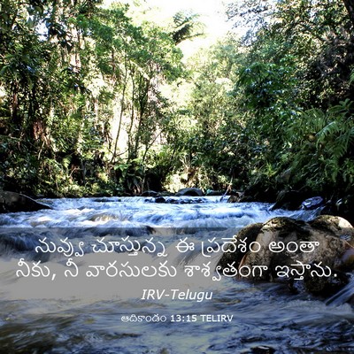Picture 03 - ఆదికాండం 13:15 TELIRV - నువ్వు చూస్తున్న - Bible Verse Picture