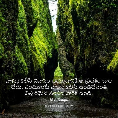Picture 03 - ఆదికాండం 13:6 TELIRV - వాళ్ళు కలిసి - Bible Verse Picture