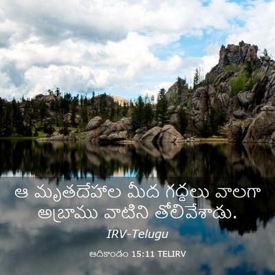Picture 03 - ఆదికాండం 15:11 TELIRV - ఆ మృతదేహాల మీద - Bible Verse Picture