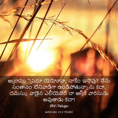 Picture 03 - ఆదికాండం 15:2 TELIRV - అబ్రాము “ప్రభూ - Bible Verse Picture