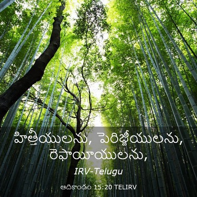 Picture 03 - ఆదికాండం 15:20 TELIRV - హిత్తీయులను, - Bible Verse Picture