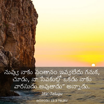 Picture 03 - ఆదికాండం 15:3 TELIRV - నువ్వు నాకు - Bible Verse Picture