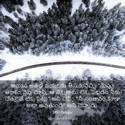 Picture 03 - ఆదికాండం 15:5 TELIRV - ఆయన అతణ్ణి బయటకు - Bible Verse Picture