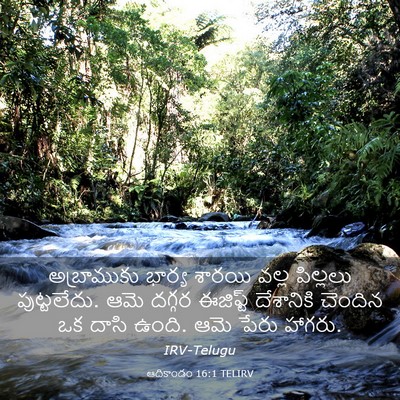 Picture 03 - ఆదికాండం 16:1 TELIRV - అబ్రాముకు భార్య - Bible Verse Picture