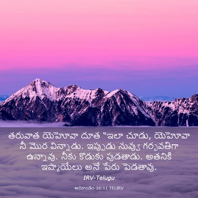 Picture 03 - ఆదికాండం 16:11 TELIRV - తరువాత యెహోవా దూత - Bible Verse Picture