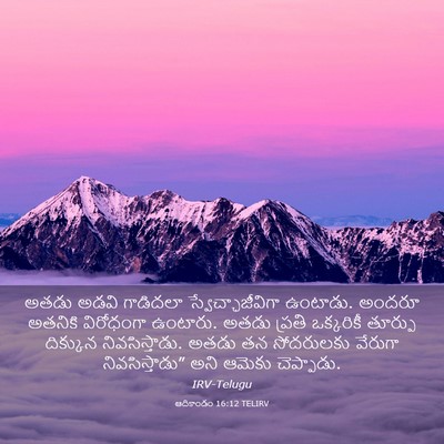 Picture 03 - ఆదికాండం 16:12 TELIRV - అతడు అడవి గాడిదలా - Bible Verse Picture