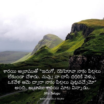 Picture 03 - ఆదికాండం 16:2 TELIRV - శారయి అబ్రాముతో - Bible Verse Picture