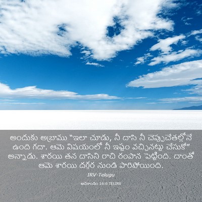 Picture 03 - ఆదికాండం 16:6 TELIRV - అందుకు అబ్రాము - Bible Verse Picture