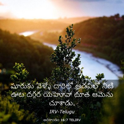 Picture 03 - ఆదికాండం 16:7 TELIRV - షూరుకు వెళ్ళే - Bible Verse Picture