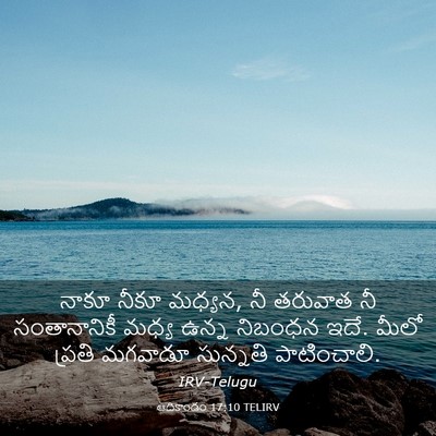 Picture 03 - ఆదికాండం 17:10 TELIRV - నాకూ నీకూ మధ్యన, నీ - Bible Verse Picture