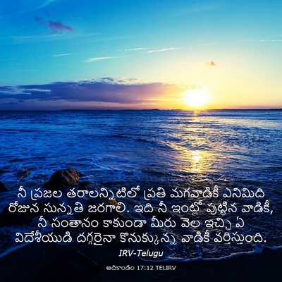 Picture 03 - ఆదికాండం 17:12 TELIRV - నీ ప్రజల - Bible Verse Picture