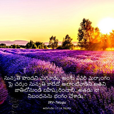 Picture 03 - ఆదికాండం 17:14 TELIRV - సున్నతి పొందని - Bible Verse Picture