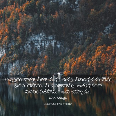 Picture 03 - ఆదికాండం 17:2 TELIRV - అప్పుడు నాకూ నీకూ - Bible Verse Picture