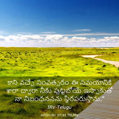 Picture 03 - ఆదికాండం 17:21 TELIRV - కాని వచ్చే - Bible Verse Picture