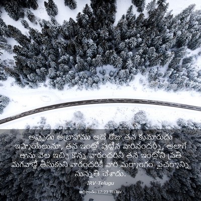 Picture 03 - ఆదికాండం 17:23 TELIRV - అప్పుడు అబ్రాహాము - Bible Verse Picture