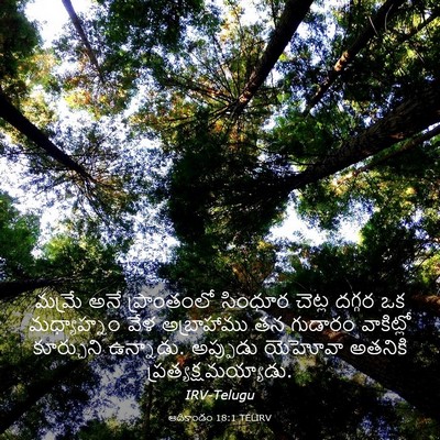 Picture 03 - ఆదికాండం 18:1 TELIRV - మమ్రే అనే - Bible Verse Picture