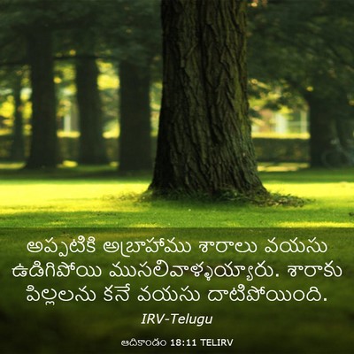 Picture 03 - ఆదికాండం 18:11 TELIRV - అప్పటికి - Bible Verse Picture
